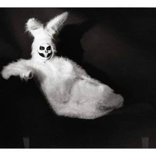 Creepy bunny wallpaper