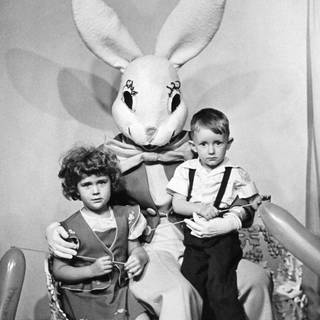 Creepy bunny wallpaper