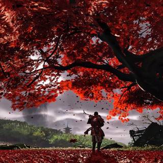 PS4 autumn wallpaper