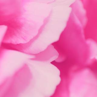 Playstation girly wallpaper