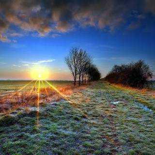 Frozen fields wallpaper