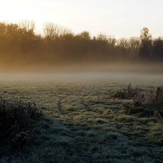 Frozen fields wallpaper
