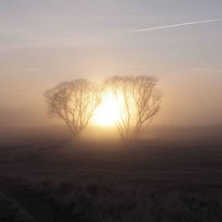 Frozen fields wallpaper