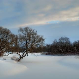 Frozen fields wallpaper