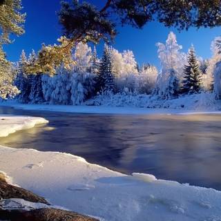 Frozen fields wallpaper