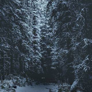 Frozen fields wallpaper