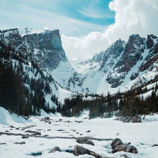 Frozen fields wallpaper