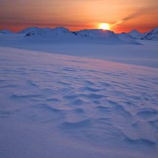 Frozen fields wallpaper