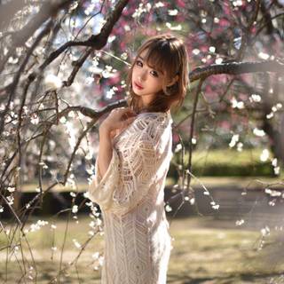 Asian spring wallpaper