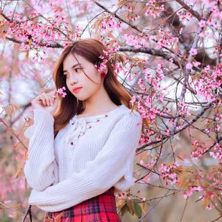 Asian spring wallpaper