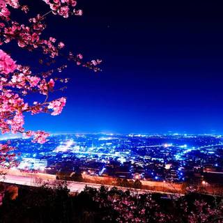 Asian spring wallpaper