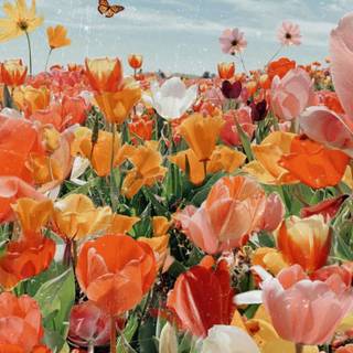 Plant spring wallpaper