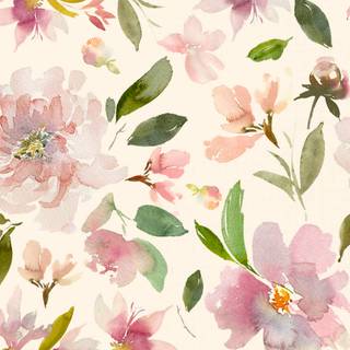 Plant spring wallpaper