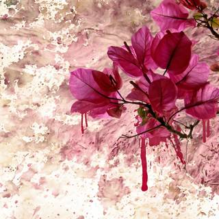 Spring flower art wallpaper