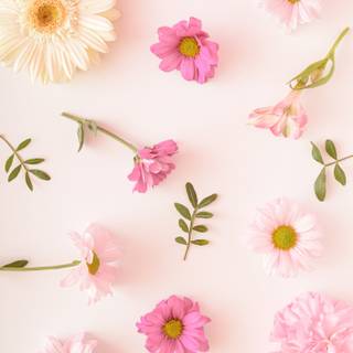 Spring flower art wallpaper