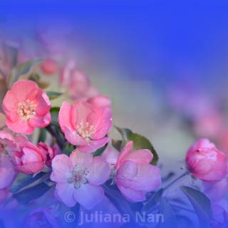 Spring flower art wallpaper