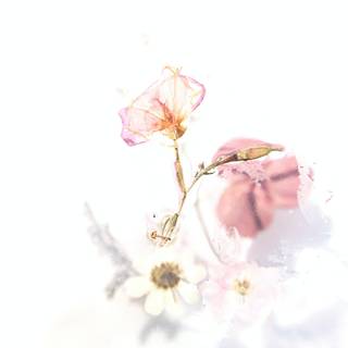Spring flower art wallpaper