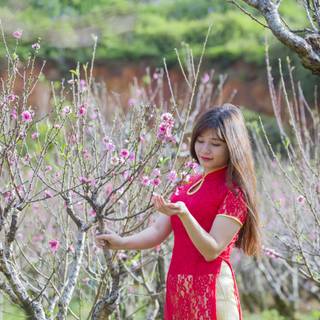 Asian spring wallpaper