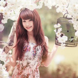 Asian spring wallpaper