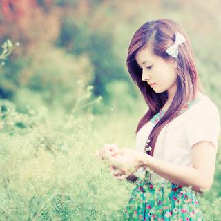 Asian spring wallpaper