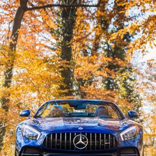 Benz mobile wallpaper