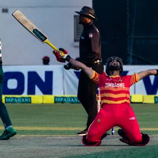 Sikandar Raza wallpaper