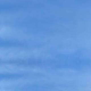 Kaws iPhone 14 wallpaper