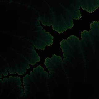 Laptop oled wallpaper