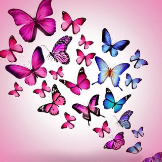 Butterfly painting wallpaper