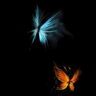 Butterfly painting wallpaper