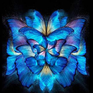 Butterfly painting wallpaper