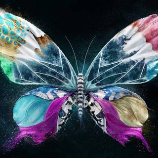 Butterfly painting wallpaper