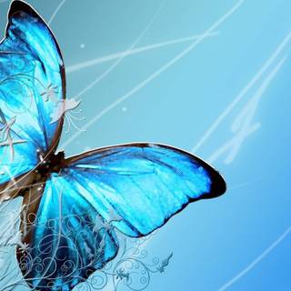 Butterfly painting wallpaper