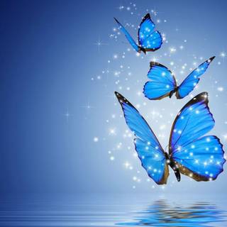 Butterfly painting wallpaper
