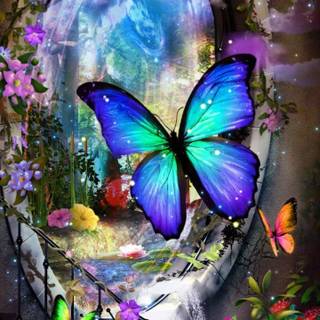 Butterfly painting wallpaper
