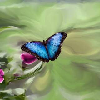 Butterfly painting wallpaper