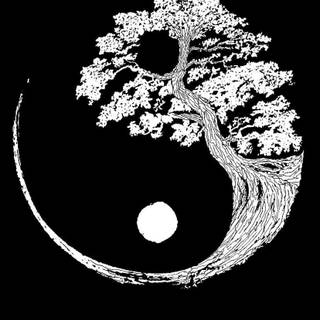 4k iPhone Yin Yang wallpaper
