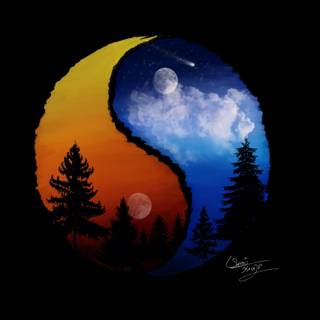 4k iPhone Yin Yang wallpaper