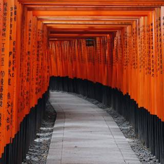 Fushimi Inari iPhone wallpaper