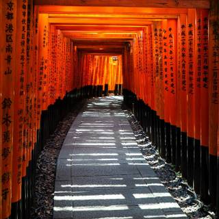 Fushimi Inari iPhone wallpaper