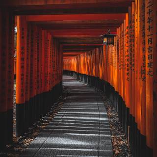 Fushimi Inari iPhone wallpaper