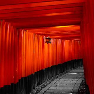 Fushimi Inari iPhone wallpaper