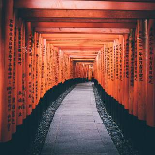 Fushimi Inari iPhone wallpaper