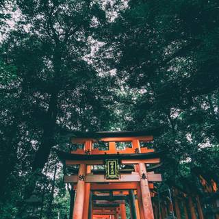 Fushimi Inari iPhone wallpaper