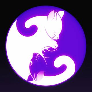 Yin Yang 4k wallpaper