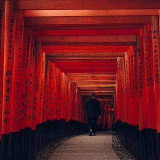 Fushimi Inari iPhone wallpaper