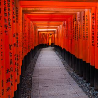 Fushimi Inari iPhone wallpaper