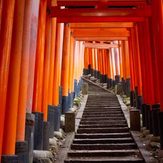 Fushimi Inari iPhone wallpaper