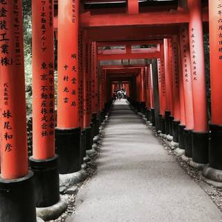Fushimi Inari iPhone wallpaper