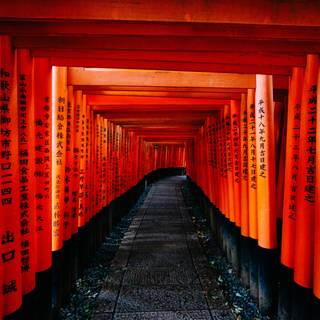 Fushimi Inari iPhone wallpaper